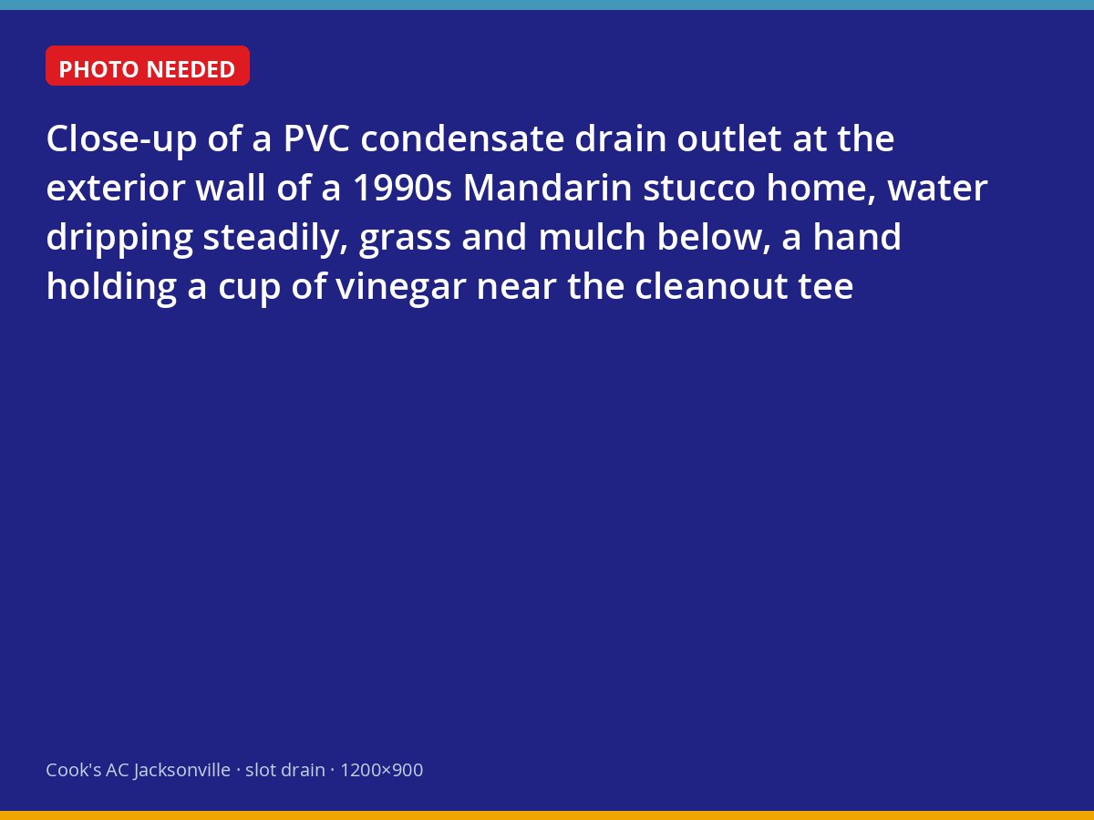 Condensate drain line outlet at a Mandarin home with a vinegar flush being poured