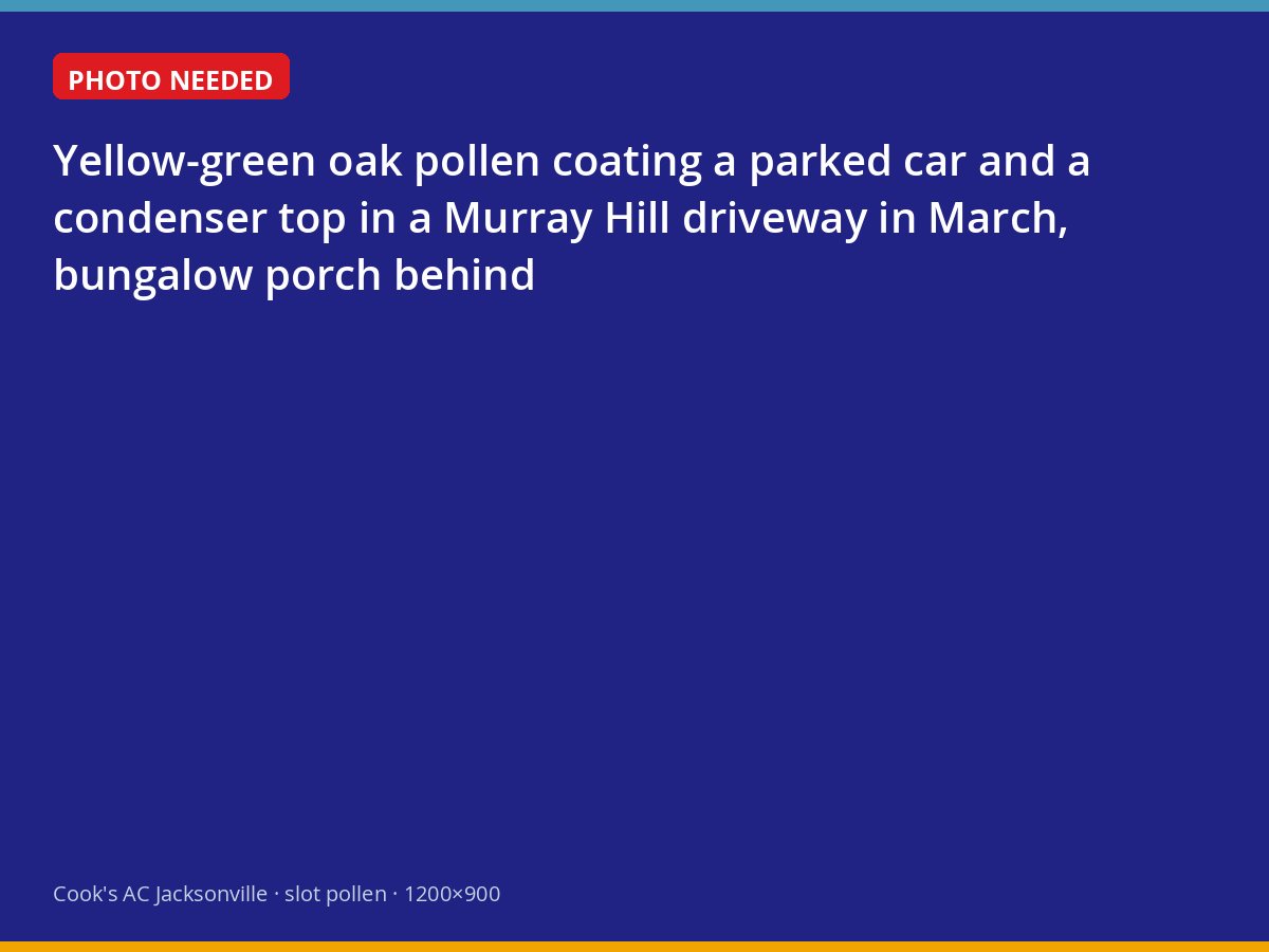 Spring oak pollen covering a car and an air conditioner in Murray Hill